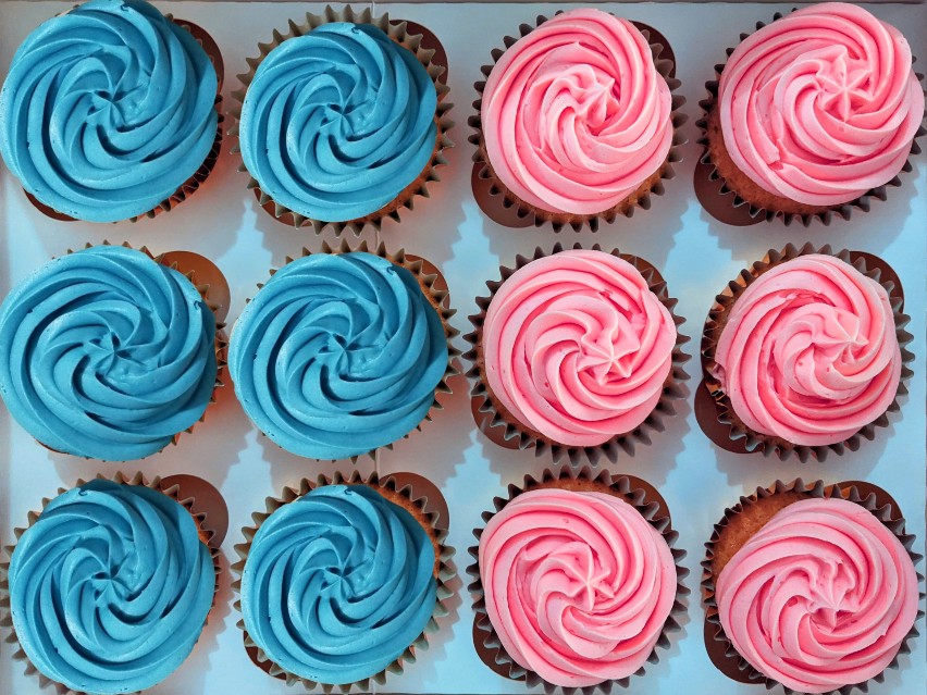 12 Cupcakes Plain